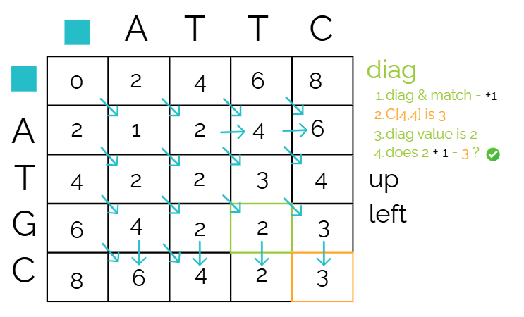 Needleman Wunsch algorithm-11.png