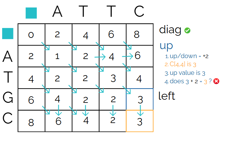 Needleman Wunsch algorithm-12.png