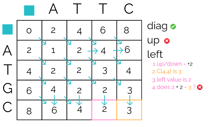 Needleman Wunsch algorithm-13.png