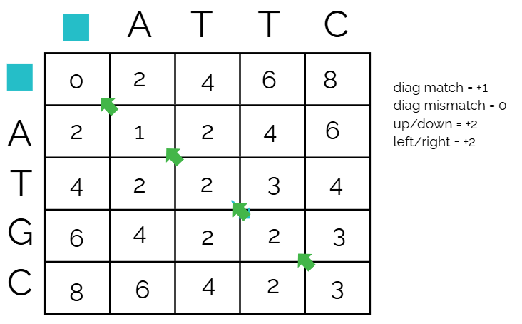Needleman Wunsch algorithm-15.png